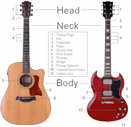 The Parts Of The Guitar